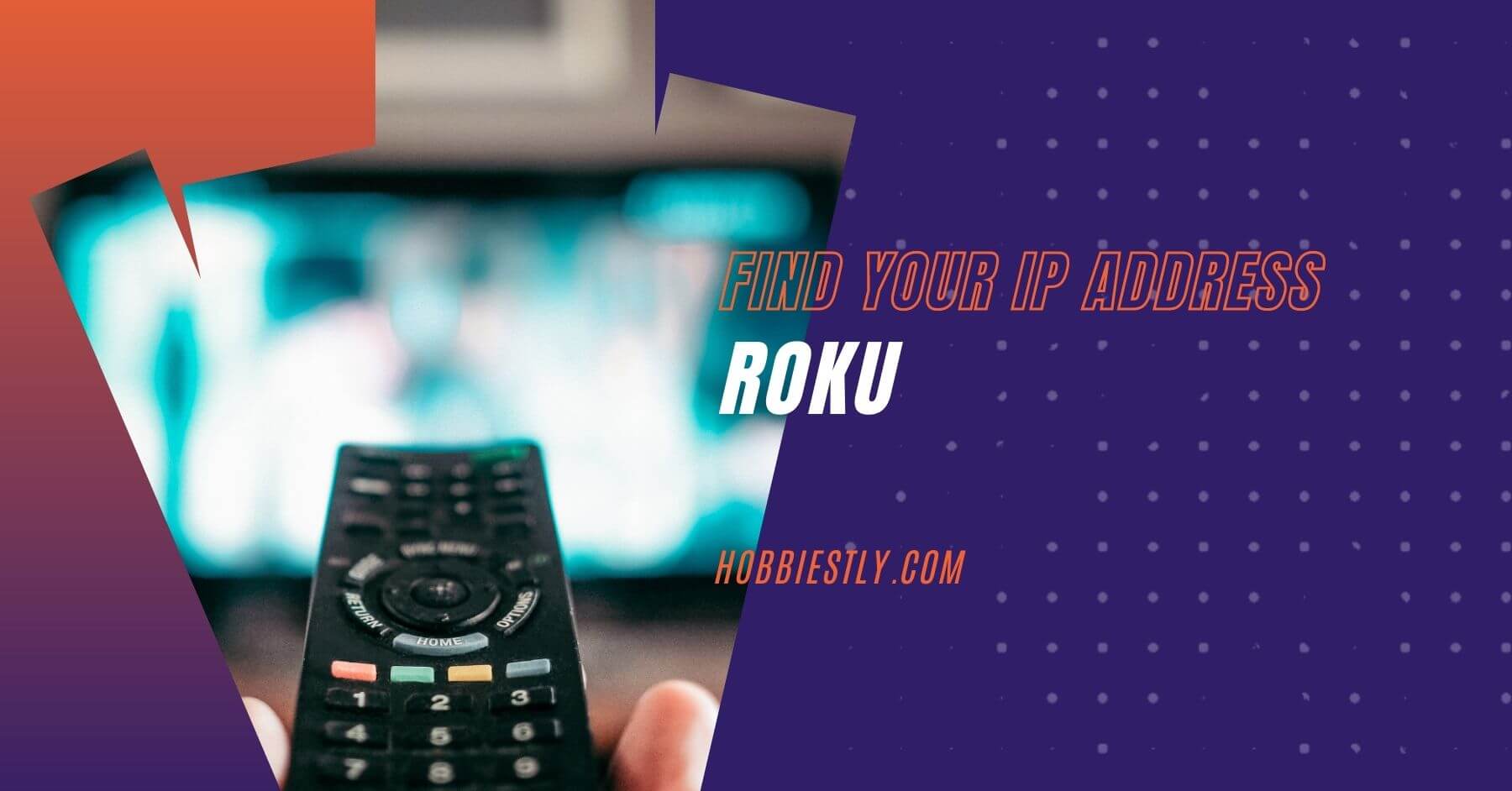 Where can I find my Roku IP address