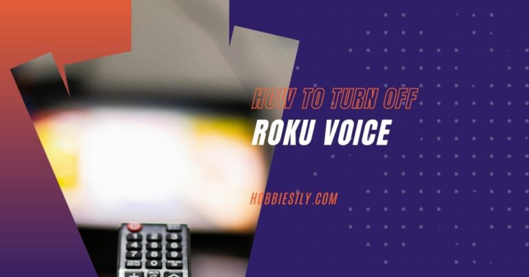 How To Turn Off Roku Voice? [Tutorial]
